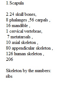 Lab Quiz 2